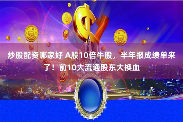 炒股配资哪家好 A股10倍牛股，半年报成绩单来了！前10大流通股东大换血