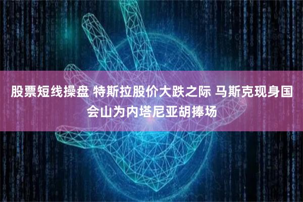 股票短线操盘 特斯拉股价大跌之际 马斯克现身国会山为内塔尼亚胡捧场