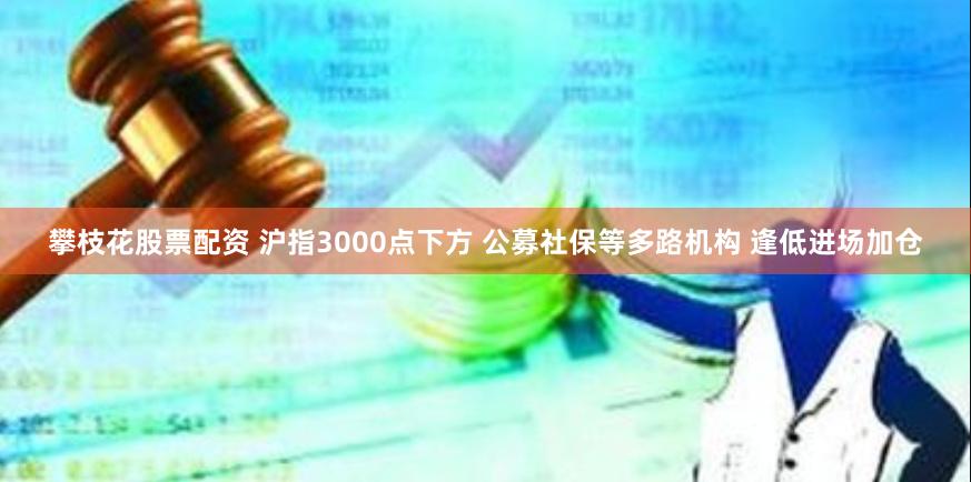攀枝花股票配资 沪指3000点下方 公募社保等多路机构 逢低进场加仓