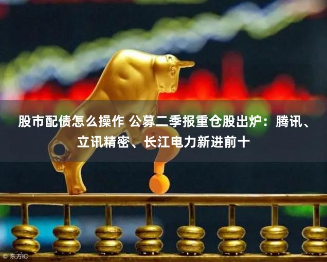 股市配债怎么操作 公募二季报重仓股出炉：腾讯、立讯精密、长江电力新进前十
