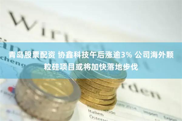 青岛股票配资 协鑫科技午后涨逾3% 公司海外颗粒硅项目或将加快落地步伐