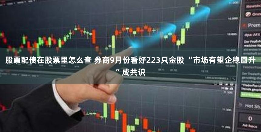 股票配债在股票里怎么查 券商9月份看好223只金股 “市场有望企稳回升”成共识
