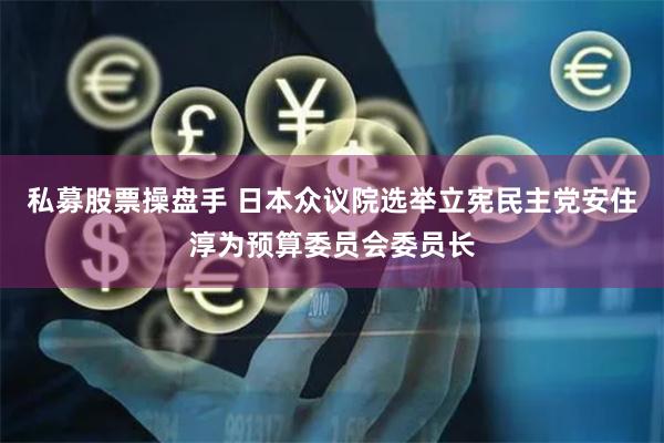 私募股票操盘手 日本众议院选举立宪民主党安住淳为预算委员会委员长